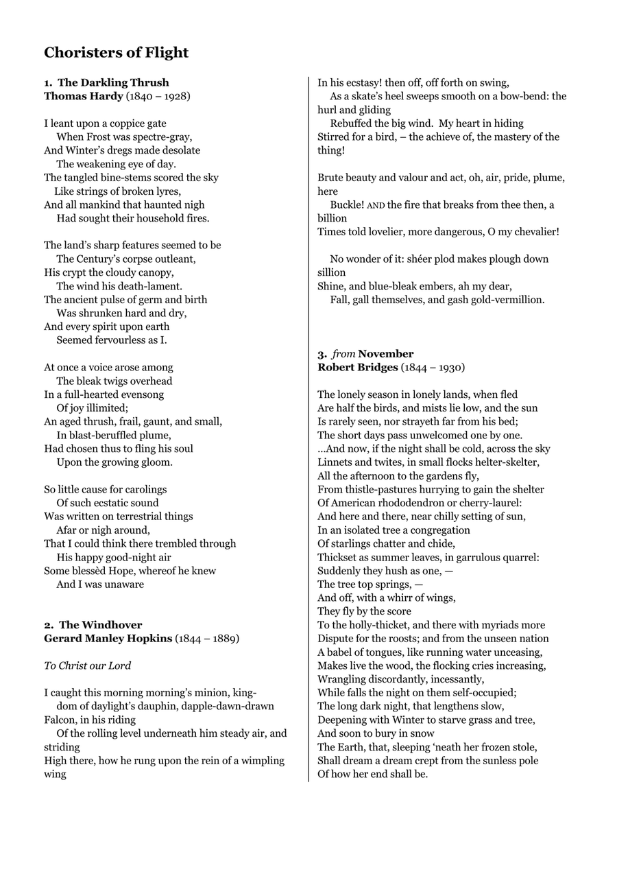 Choristers of Flight (Choral Suite for unaccompanied mixed choir) Divisi scores gallery preview page 3