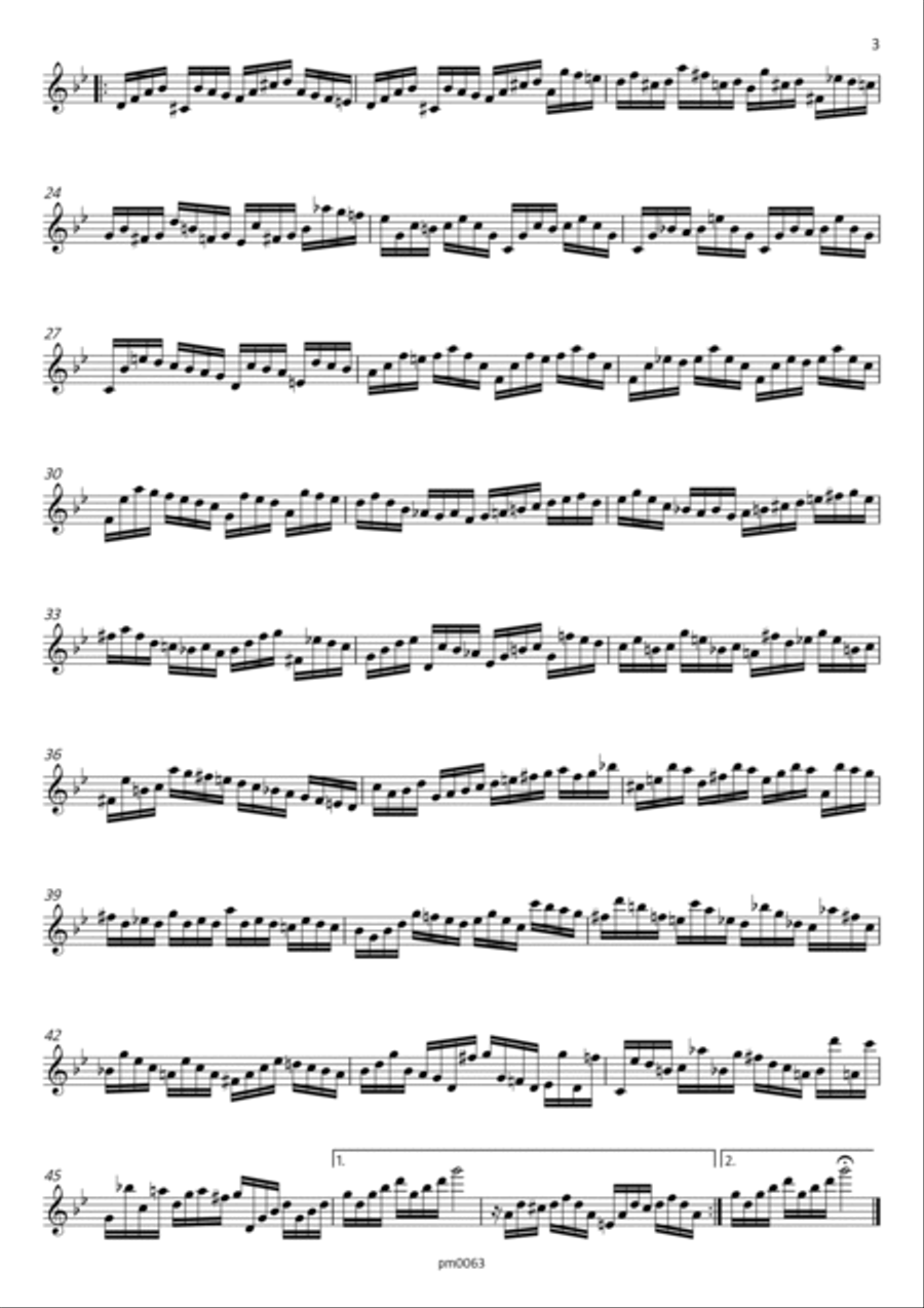 Partita, BWV 1013, for Alto Flute Flute Solo scores gallery preview page 4