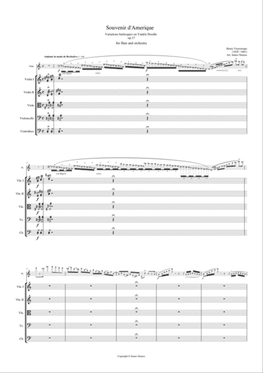 Souvenir D'Amerique- Variations Burleques sur Yankle Doodle op.17 for flute and string Orchestra - F Chamber Orchestra scores gallery preview page 3