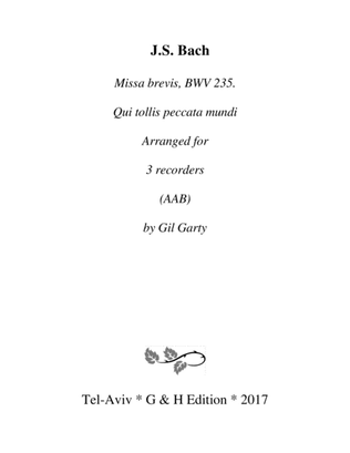 Book cover for Qui tollis peccata mundi from Missa brevis, BWV 235 (arrangement for 3 recorders)