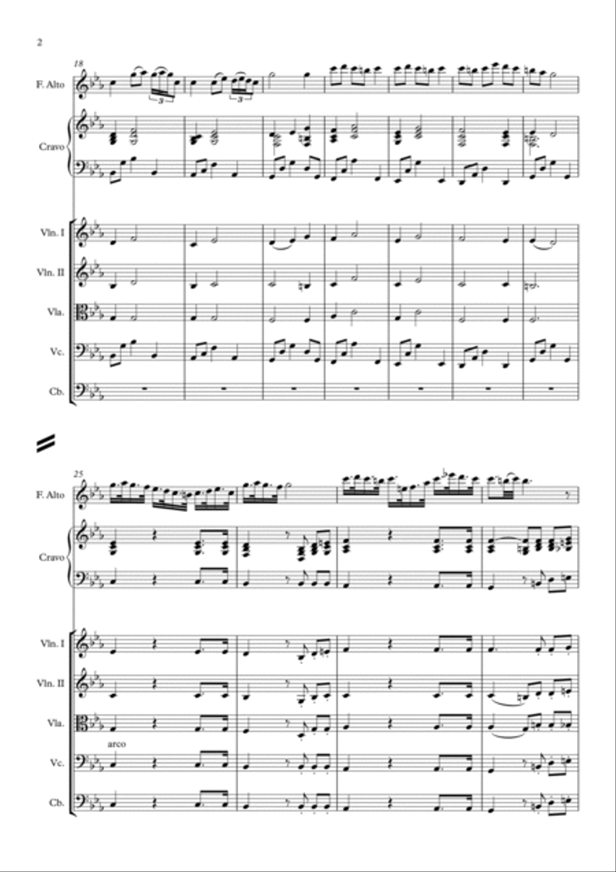 Chaconne - Recorder Alto Solo, Harpsichord and Strings Recorder scores gallery preview page 2