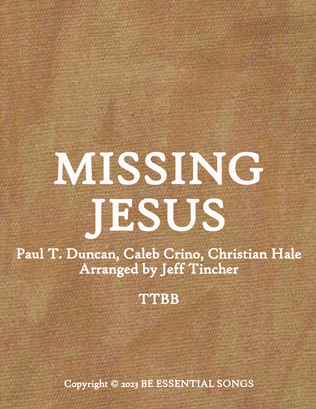 Book cover for Missing Jesus