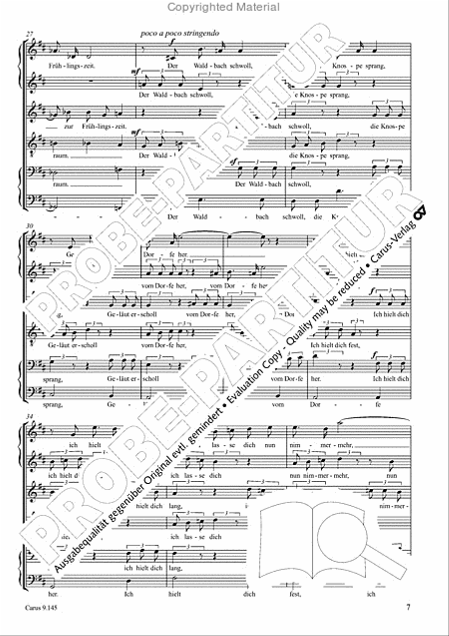 Gottwald/Grieg: Drei Lieder Choir scores gallery preview page 8