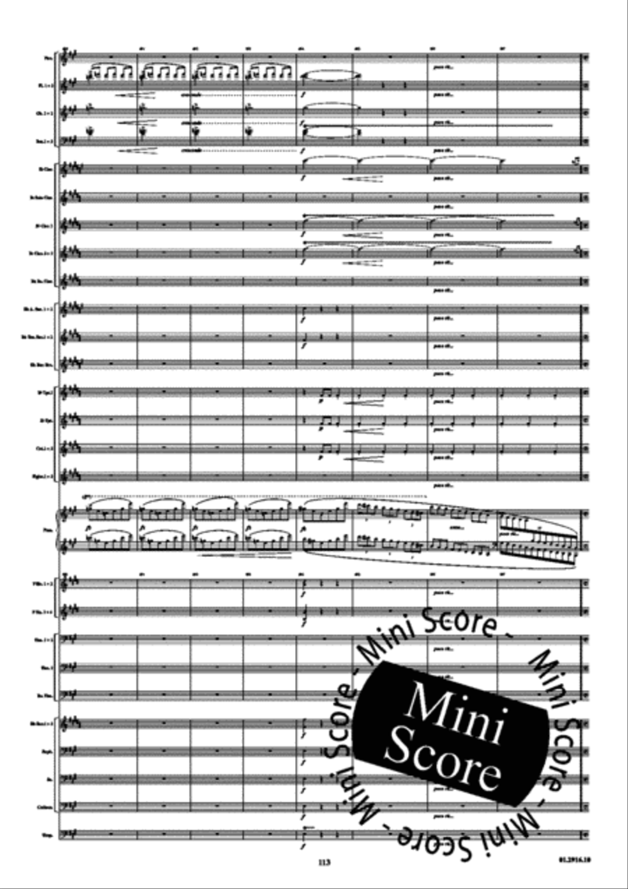 Piano Concerto opus 16 A Minor Concert Band scores gallery preview page 117