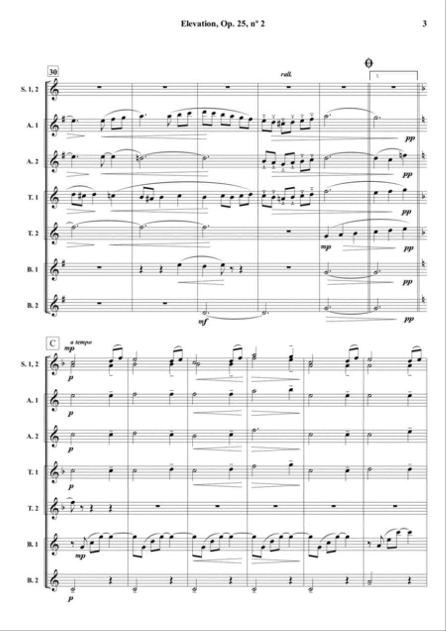 Elevation, Op. 25, nº 2 - For Saxophone Ensemble Woodwind Ensemble scores gallery preview page 4