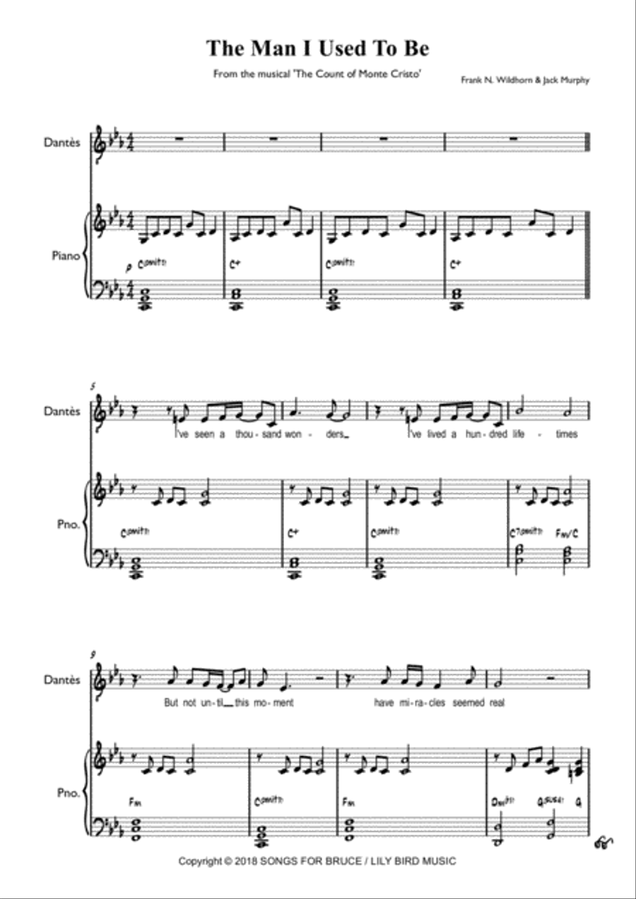 The Man I Used To Be Piano, Vocal, Guitar scores gallery preview page 2