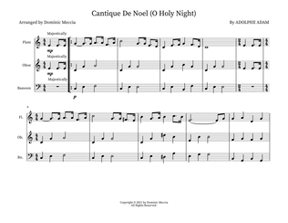 Book cover for O Holy Night (Cantique De Noel)