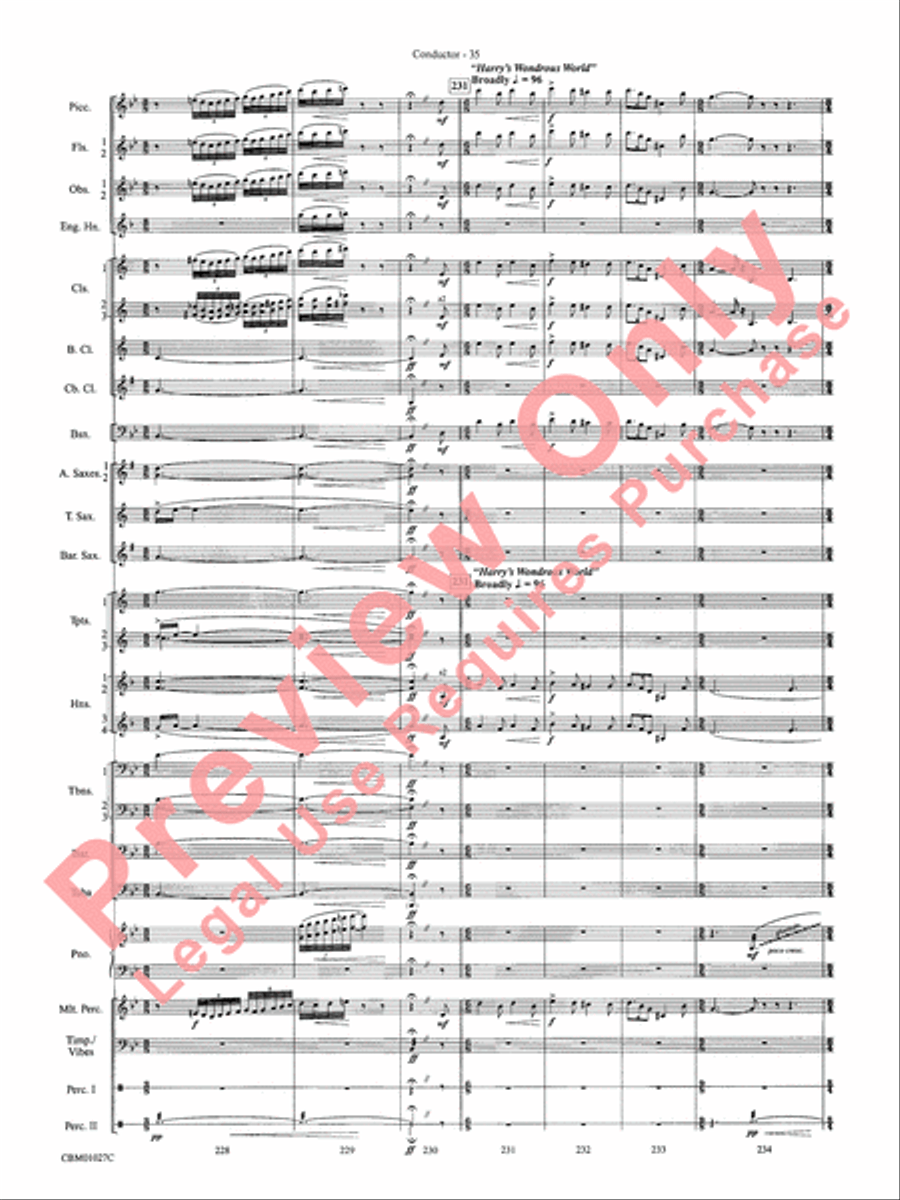 Harry Potter Symphonic Suite Concert Band scores gallery preview page 38