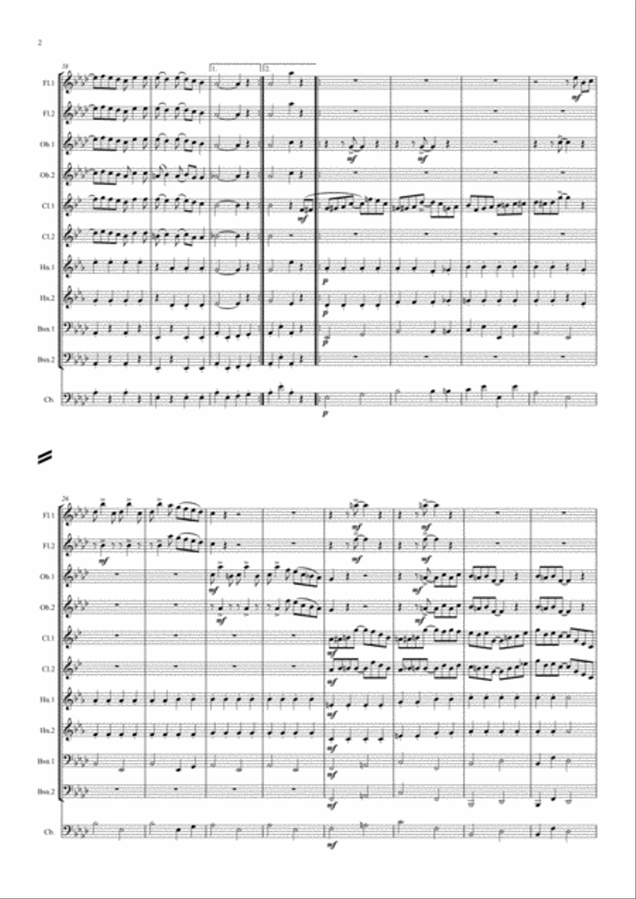 Scott Joplin: The Easy Winners (Rag) - wind dectet (and bass) Woodwind Quintet scores gallery preview page 2