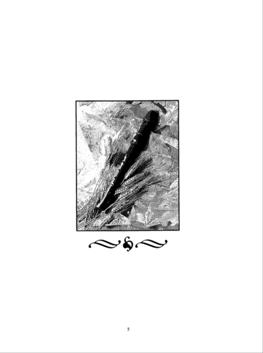 Solo Pieces for the Beginning Treble/Alto Recorder Alto Recorder scores gallery preview page 6