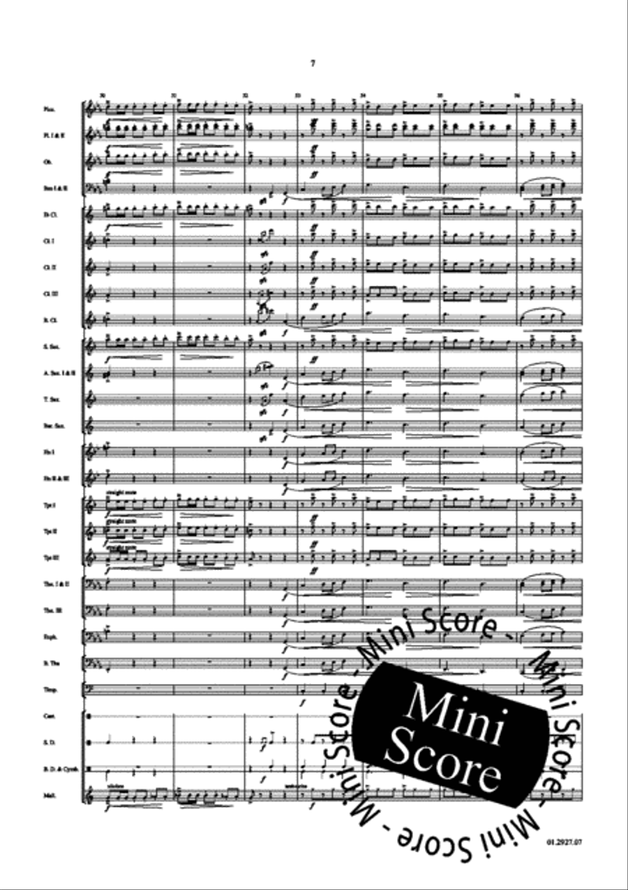 Paso Quebrado Concert Band scores gallery preview page 11