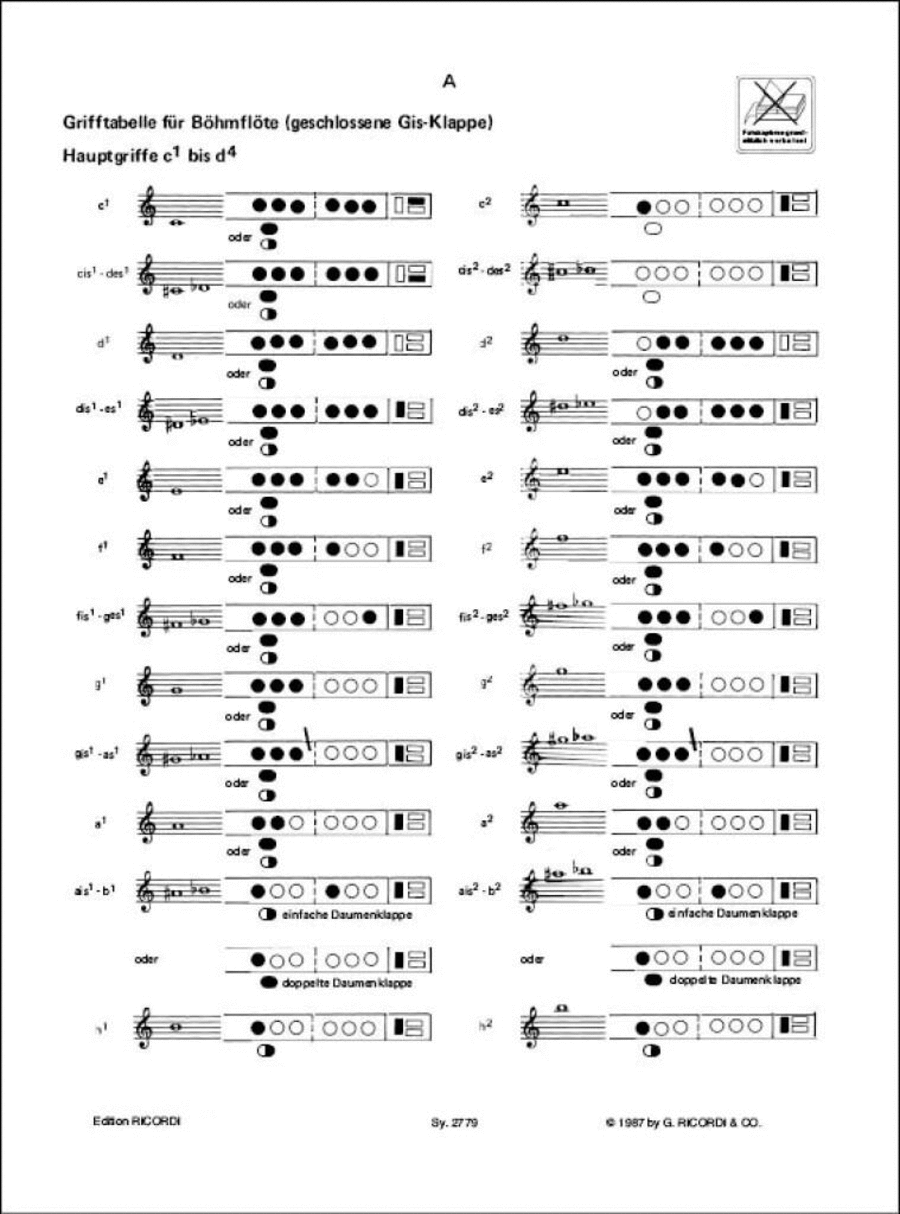 Lern Querflöte Spielen 1- Grifftabelle Flute Solo scores gallery preview page 1