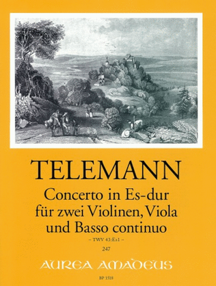 Book cover for Concerto in E flat TWV43:Es1