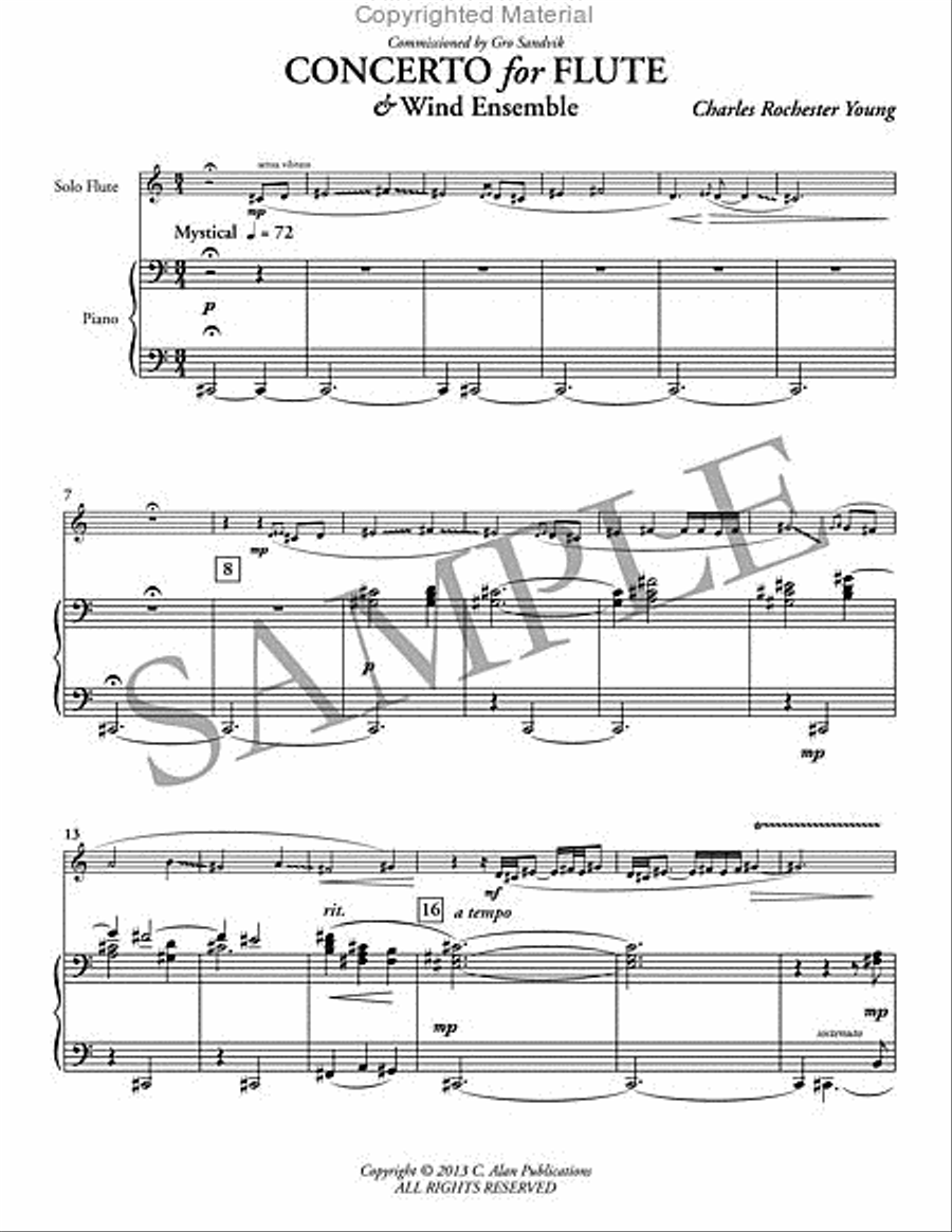 Concerto for Flute Concerto for Flute Flute Solo scores gallery preview page 2