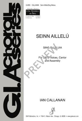 Book cover for Seinn Aillelú