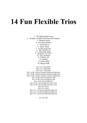 Book cover for 14 Fun Flexible Trios