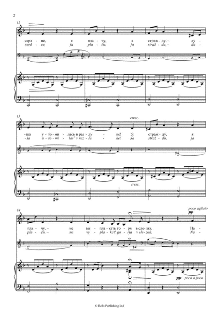 Somnenie (voice, piano and obligato) (Original key. D minor) Voice scores gallery preview page 2