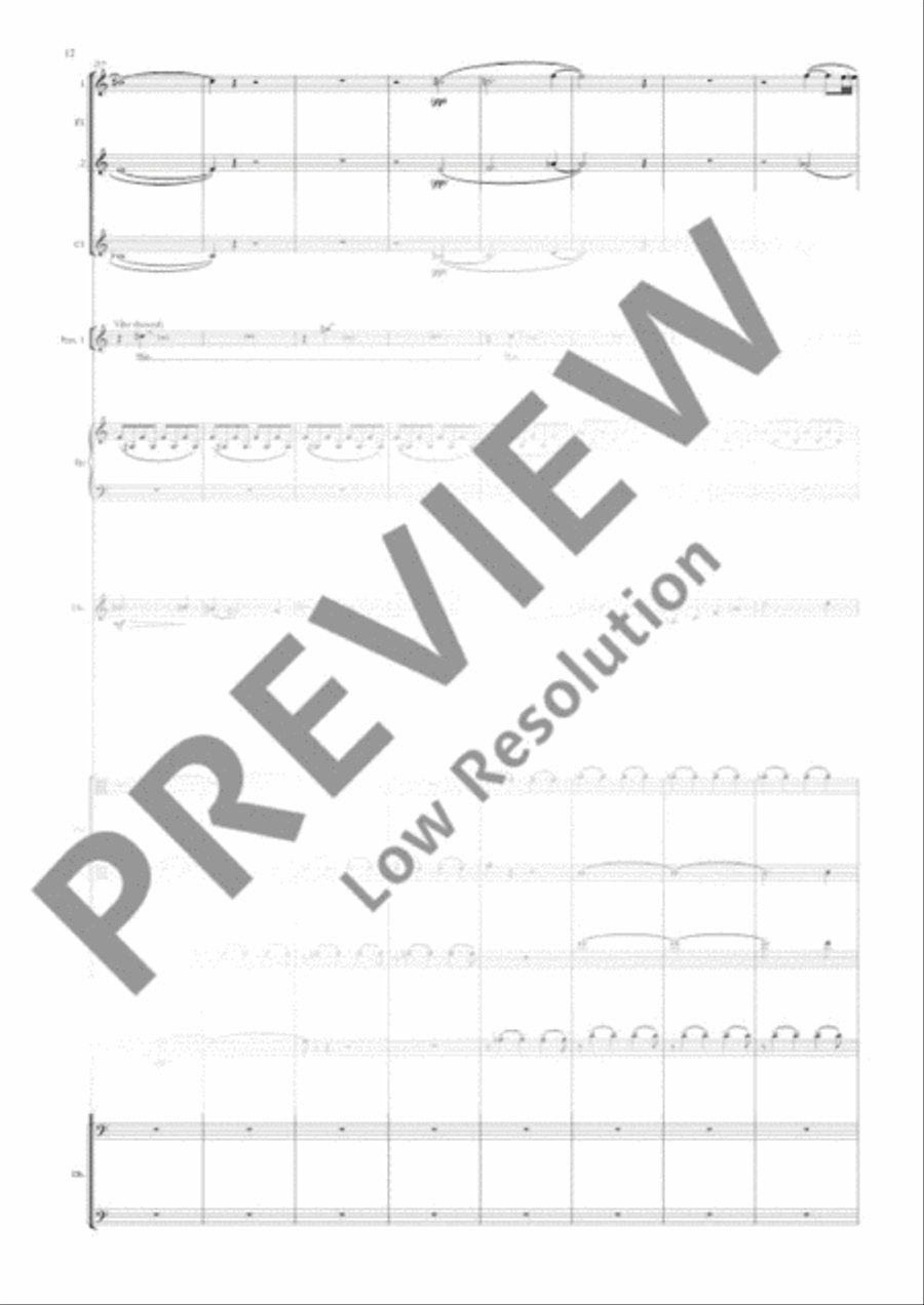 Double Bass Concerto Double Bass Concerto 3-Part scores gallery preview page 17
