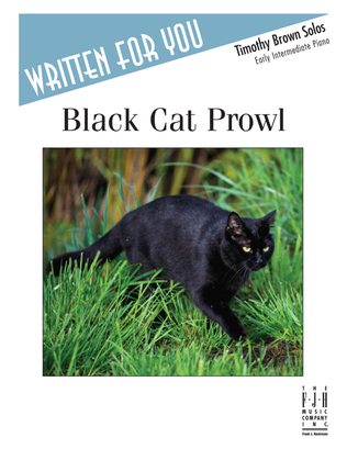 Book cover for Black Cat Prowl