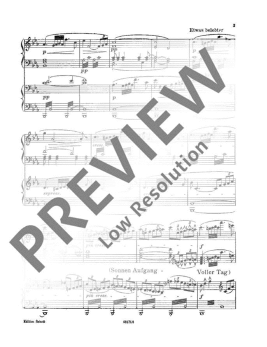 Siegfrieds Rheinfahrt Piano Duet scores gallery preview page 6