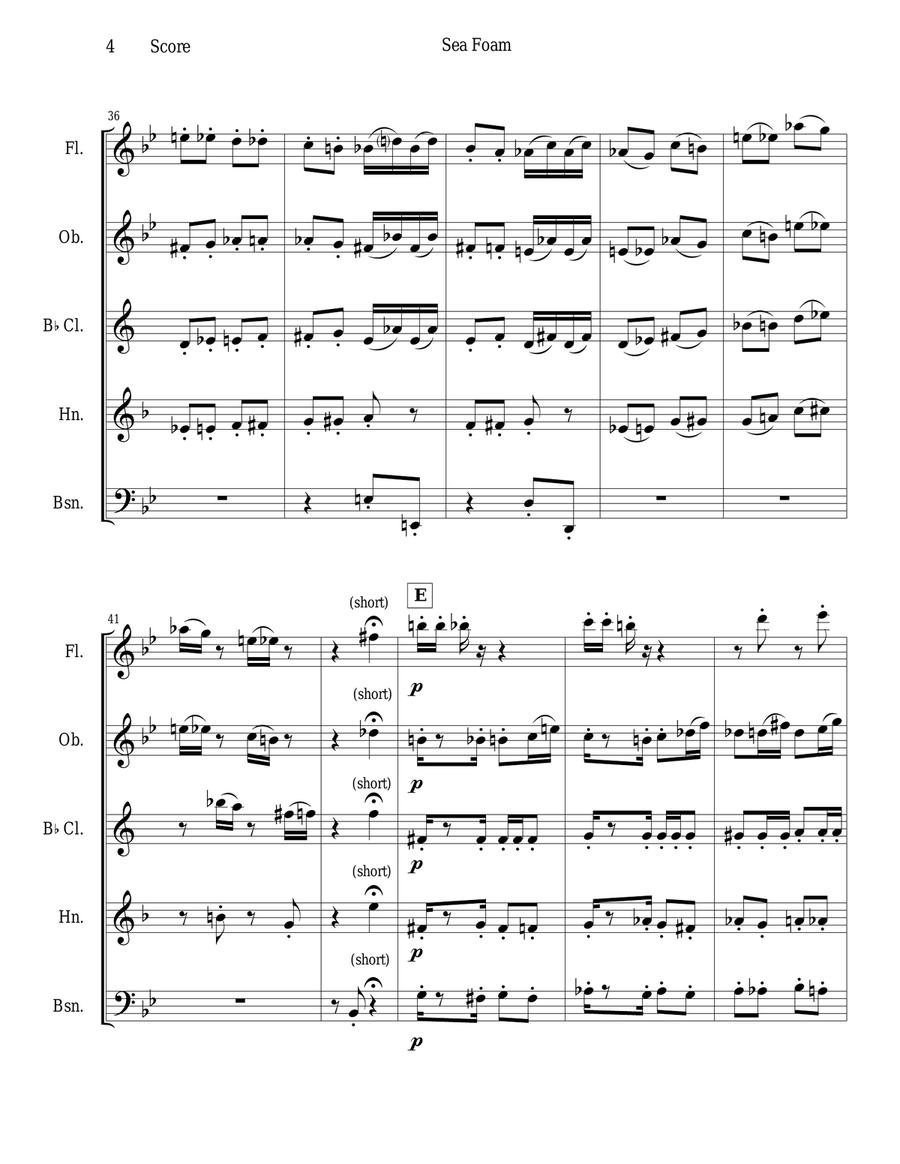 Frank Bridge - Sea-Foam set for woodwind quintet Woodwind Quintet scores gallery preview page 4