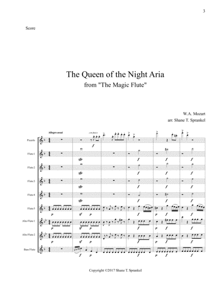The Queen of the Night Aria for Flute Choir image number null
