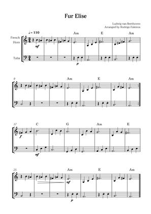 Fur Elise (for french horn and tuba)