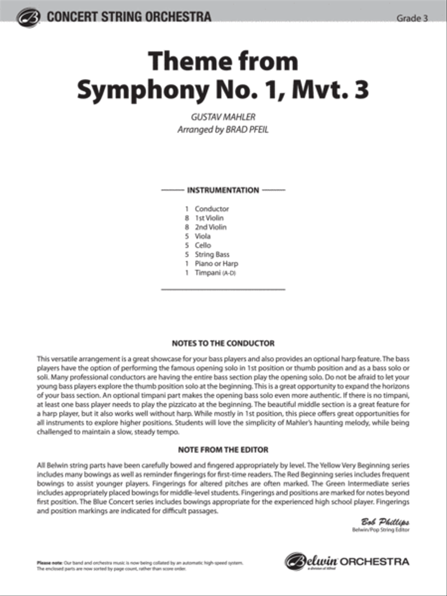 Theme from Symphony No. 1, Movement 3: Score String Orchestra scores gallery preview page 1