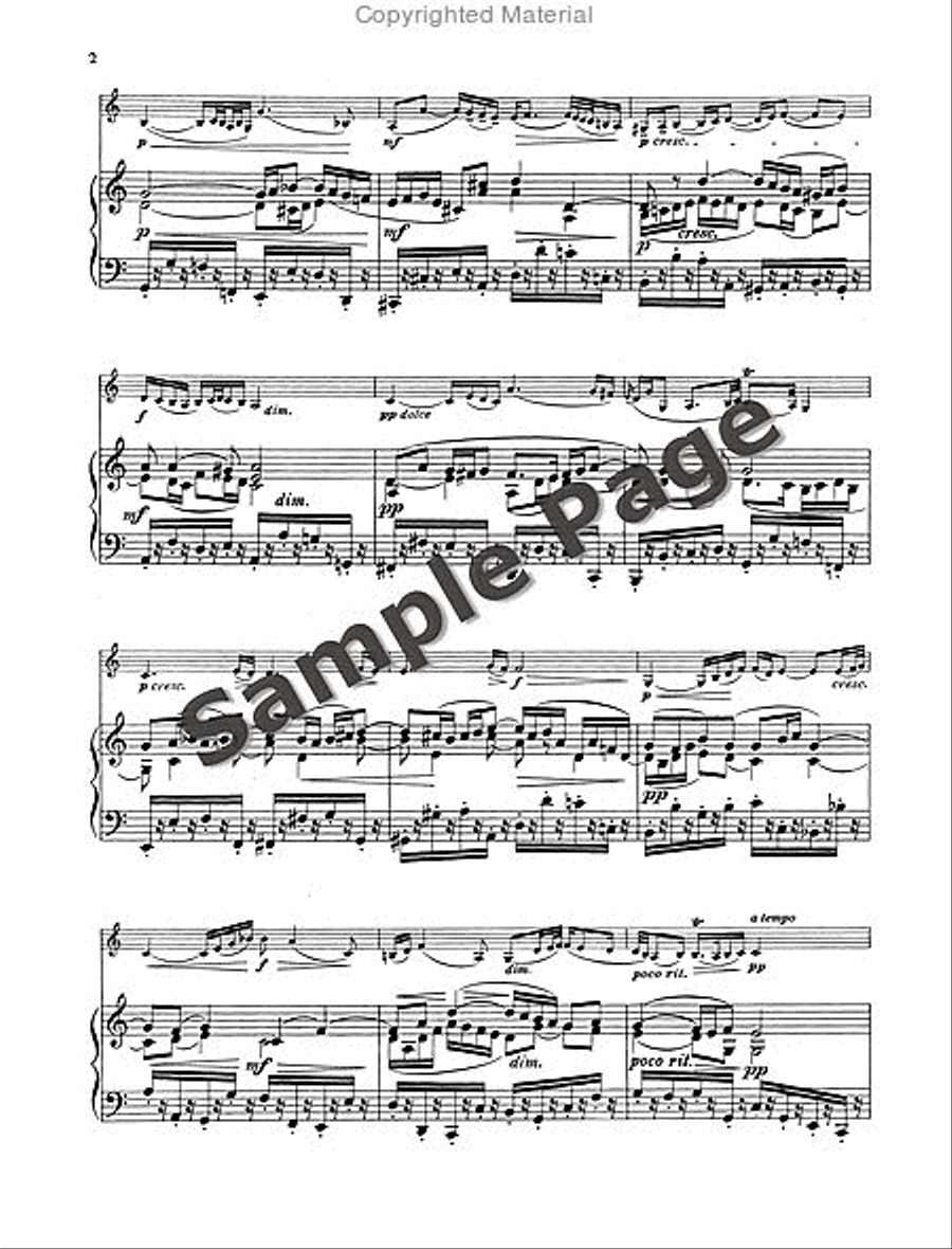 Air from the Orchestral Suite No. 3 in D, BWV 1068 Violin Solo scores gallery preview page 5