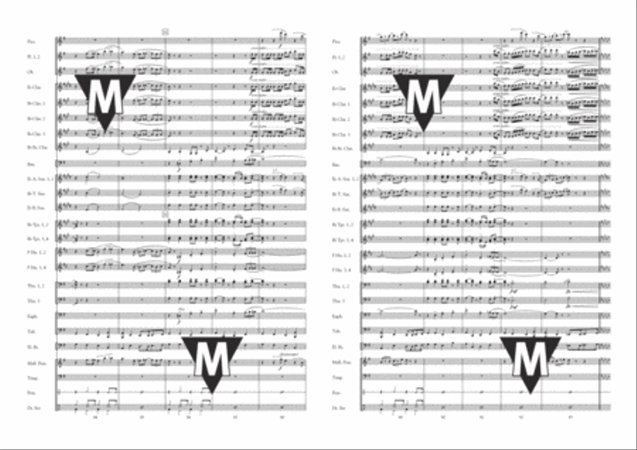 Always Look on The Bright Side of Life Concert Band scores gallery preview page 10