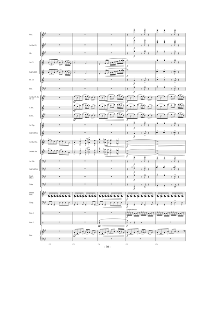 Promising Skies Concert Band scores gallery preview page 29