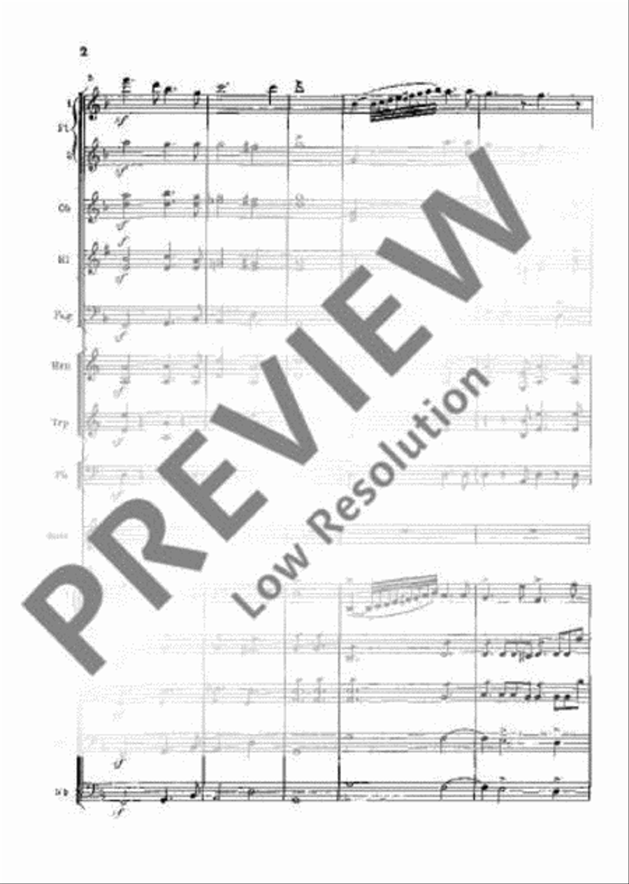 Concerto D Minor Orchestra scores gallery preview page 7