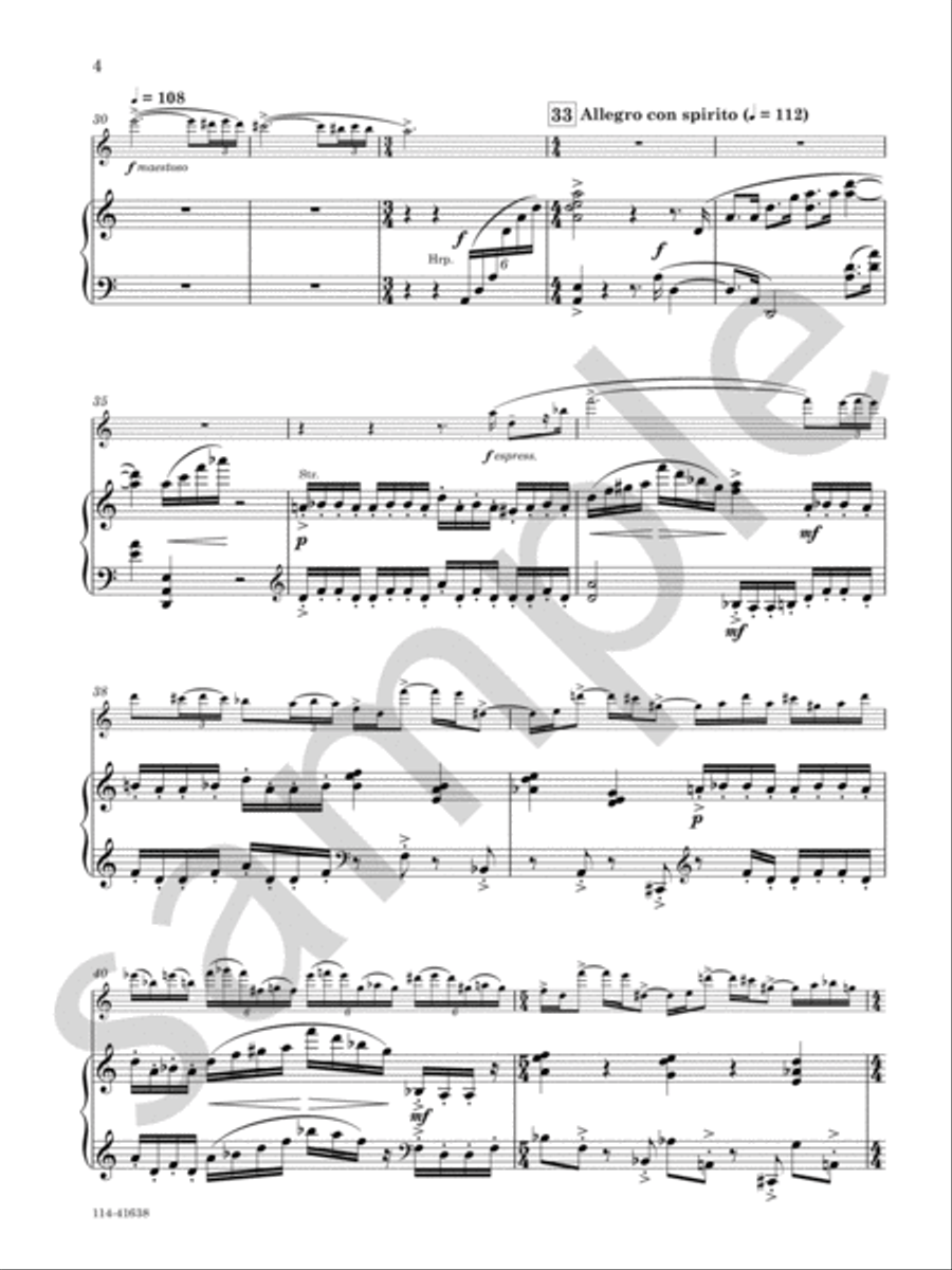 Concerto For Flute And Orchestra Chamber Music scores gallery preview page 4