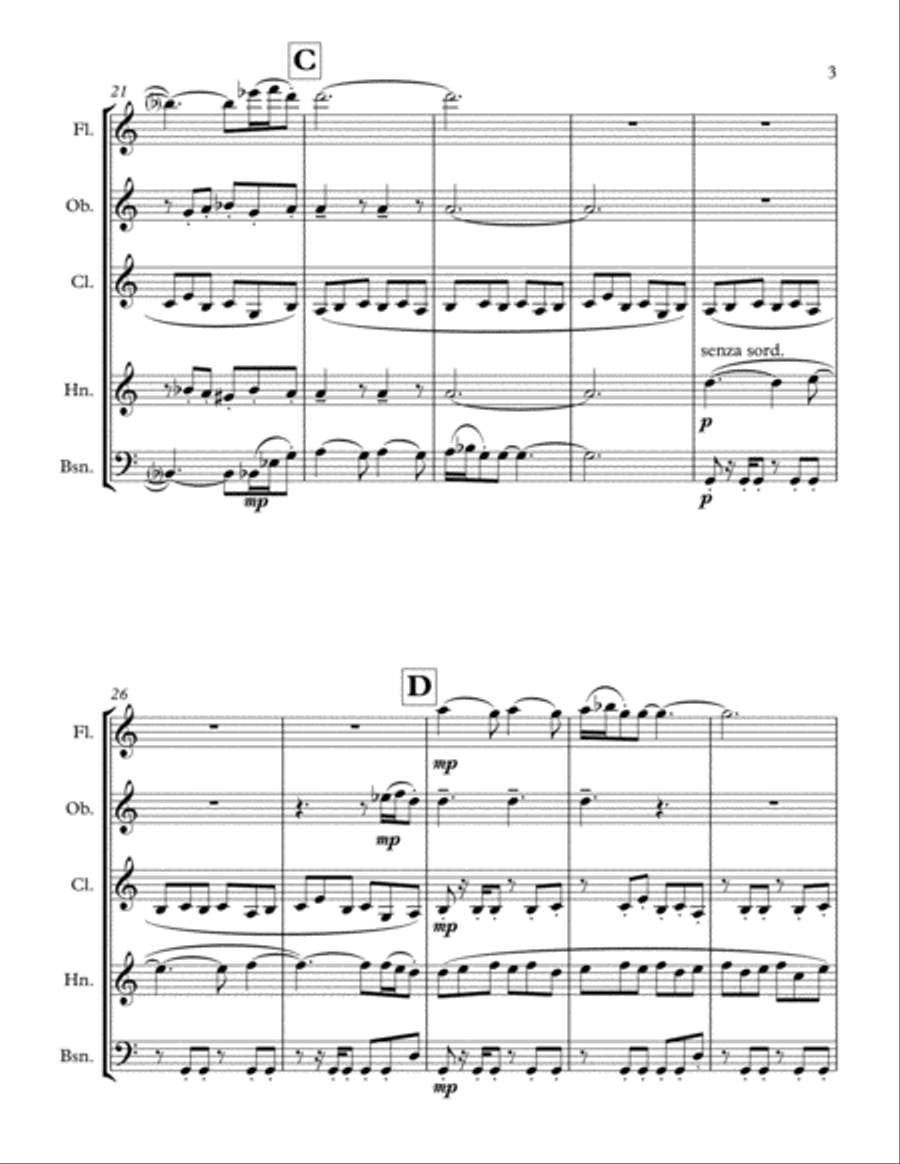 The Birth of a Dance Woodwind Quintet scores gallery preview page 4