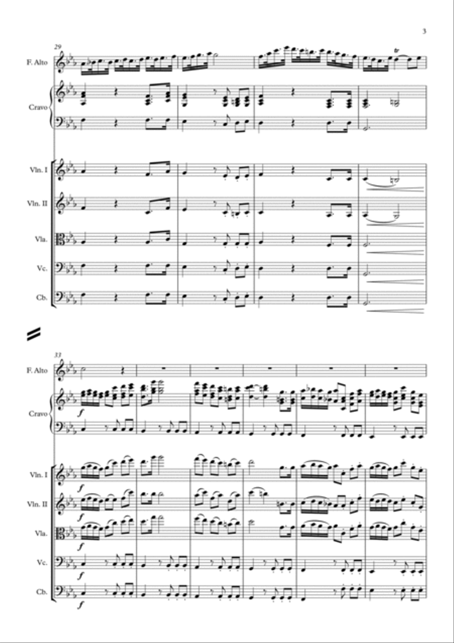 Chaconne - Recorder Alto Solo, Harpsichord and Strings Recorder scores gallery preview page 3