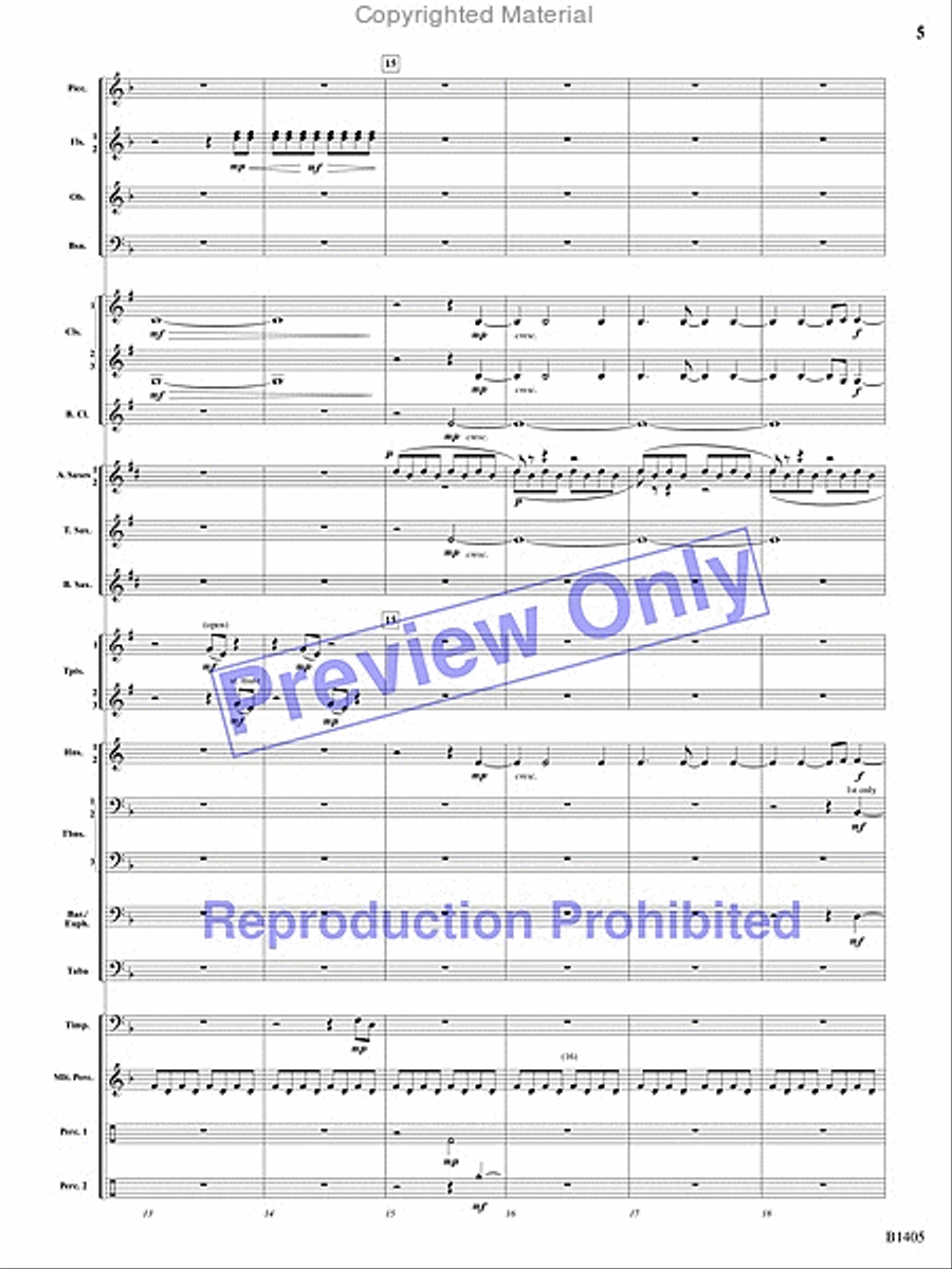 Reverberations Concert Band scores gallery preview page 22
