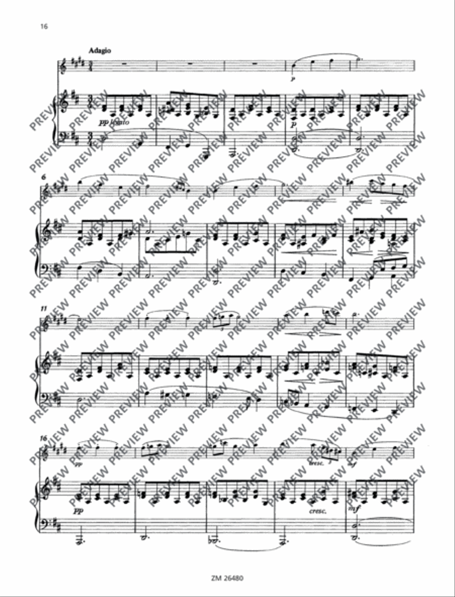 Sonata G minor ”Arpeggione Clarinet Solo scores gallery preview page 17