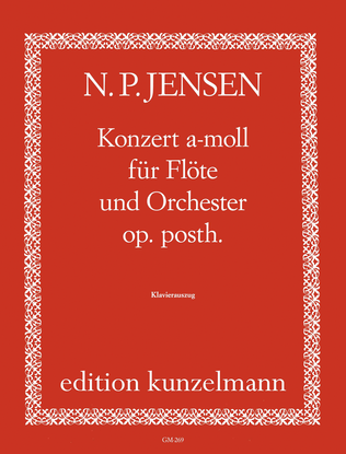 Book cover for Flute concerto in A minor