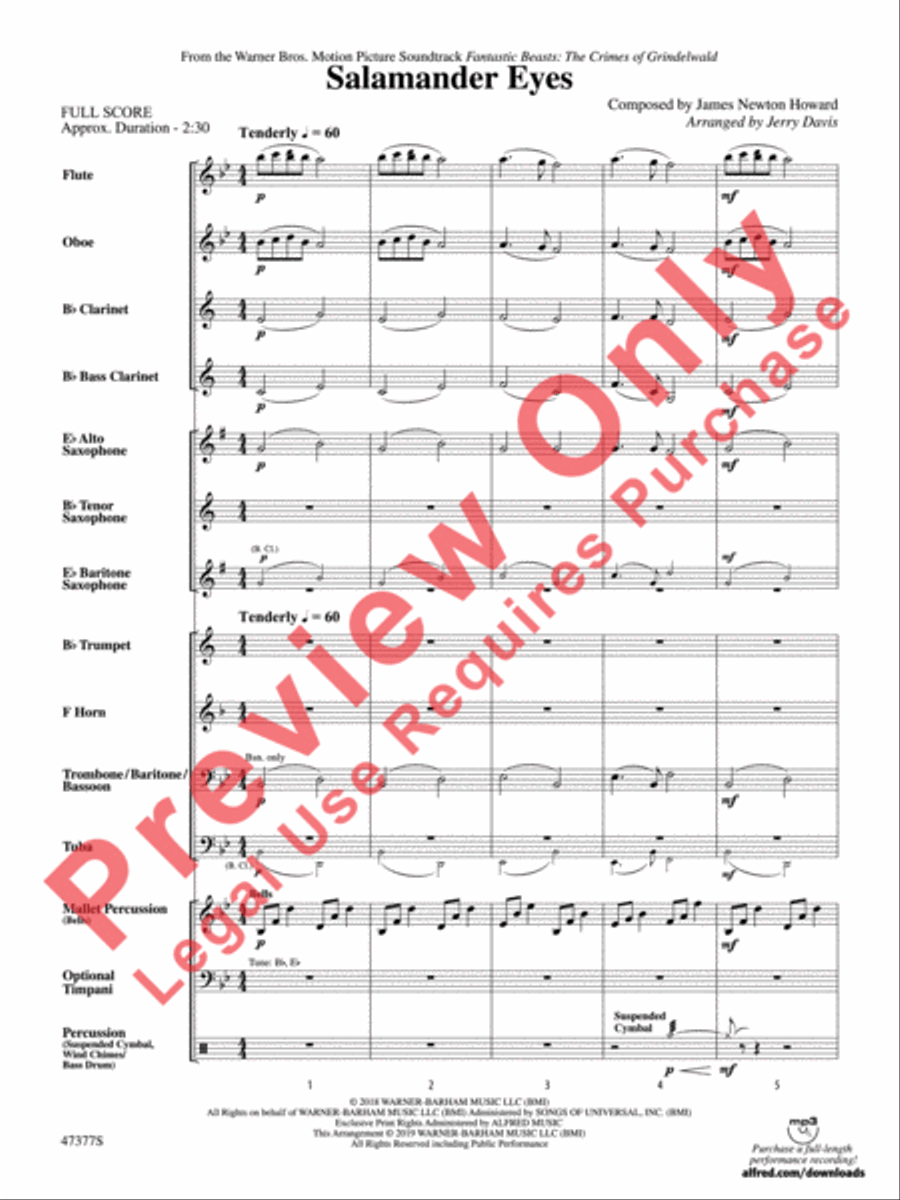 Salamander Eyes Salamander Eyes Concert Band scores gallery preview page 4