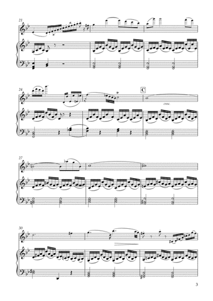 Largo e cantabile’ from 'How Do You Do' Op.33-5, Hob.III:41 for Flute & Piano image number null