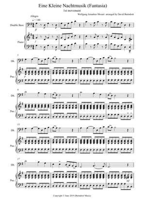 Eine Kleine Nachtmusik (Fantasia) 1st Movement for Double Bass and Piano