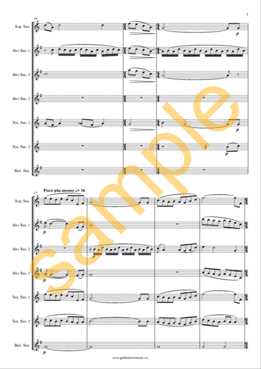 Cinema Paradiso - sax choir image number null