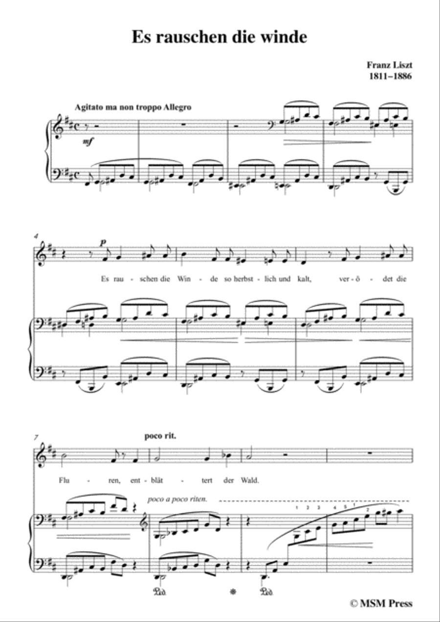 Liszt-Es rauschen die winde in D Major,for Voice and Piano Voice Solo scores gallery preview page 3