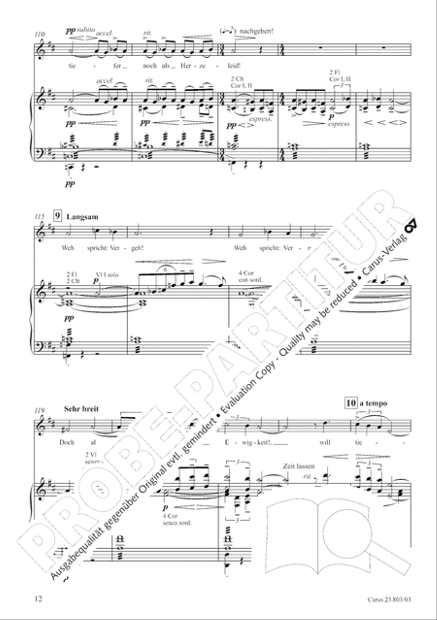 Symphony No. 3 Divisi scores gallery preview page 13