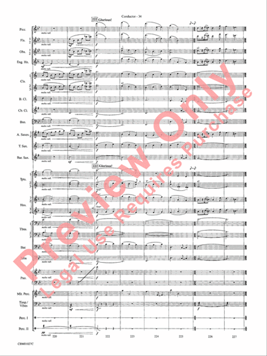Harry Potter Symphonic Suite Concert Band scores gallery preview page 37