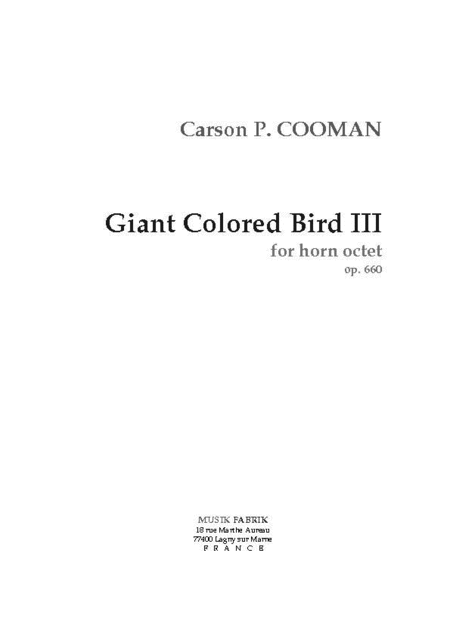 Giant Colored Bird III