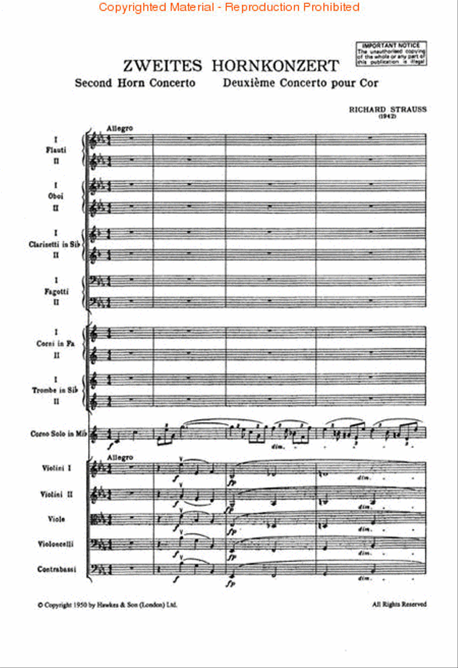 Horn Concerto No. 2 in Eb Major Orchestra scores gallery preview page 2