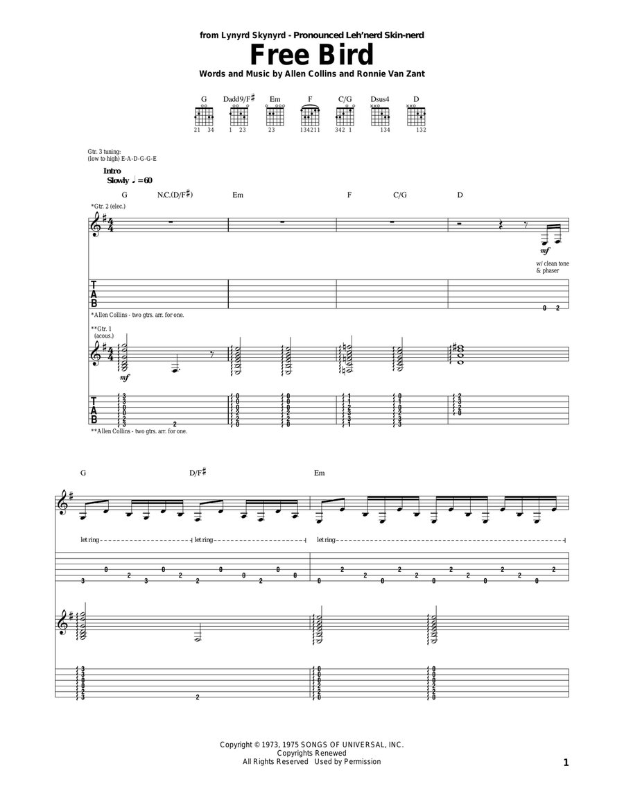 Free Bird Acoustic Guitar scores gallery preview page 1