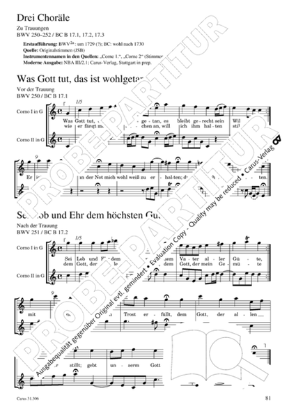 Bach for Brass 6: Cantatas and further works (Cor, Timp)