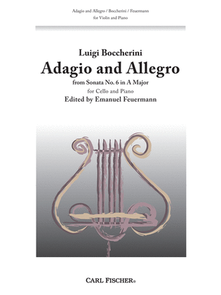 Book cover for Adagio And Allegro